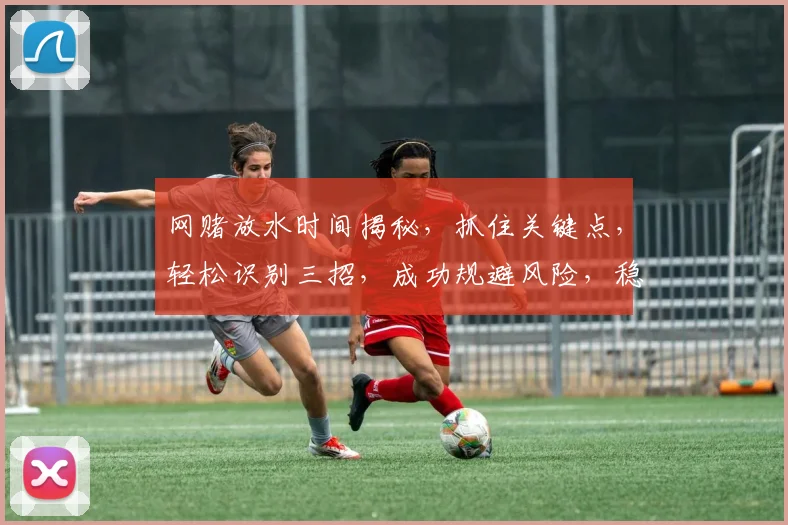 网赌放水时间揭秘，抓住关键点，轻松识别三招，成功规避风险，稳赚不赔攻略分享