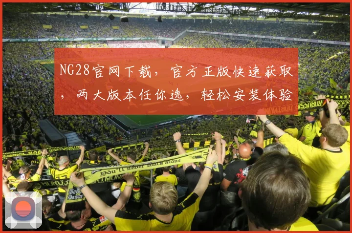 NG28官网下载，官方正版快速获取，两大版本任你选，轻松安装体验非凡