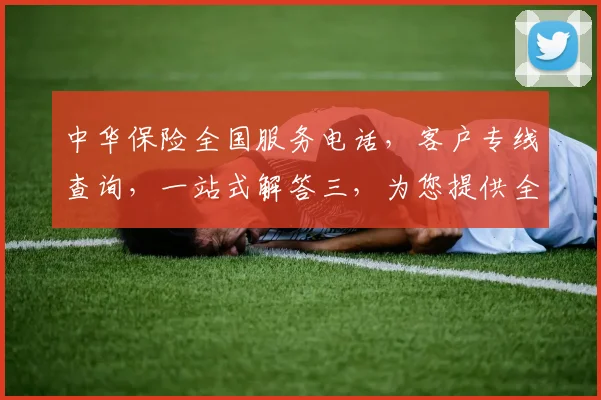 中华保险全国服务电话，客户专线查询，一站式解答三，为您提供全方位服务